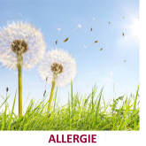 AlphaScience GmbH, Hauptstrasse 54 in Riedstadt