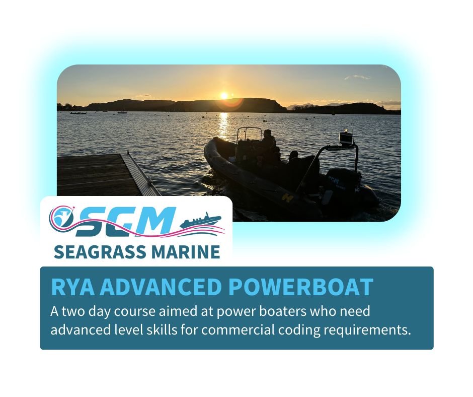Images Seagrass Marine