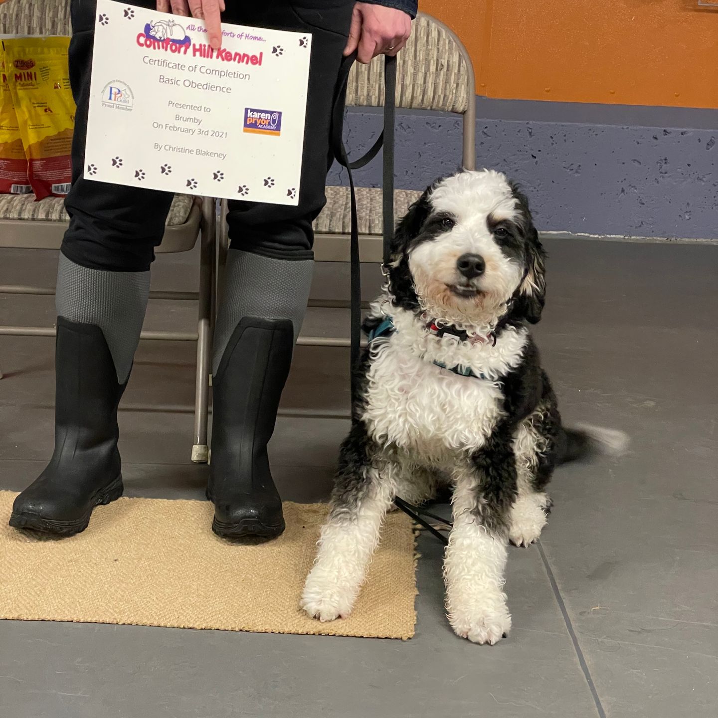 Image of Local Pet Event Puppy Life Skills Class-limited space Nearby