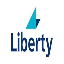 Liberty Network Services Logo