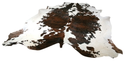 Images Carbipel Group