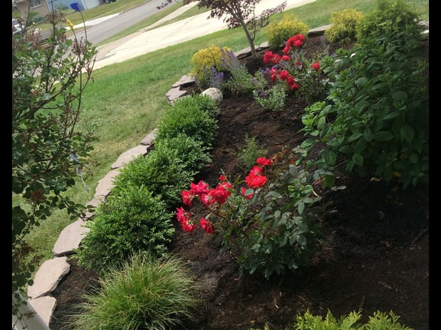 Images Gorski Landscape Services Inc
