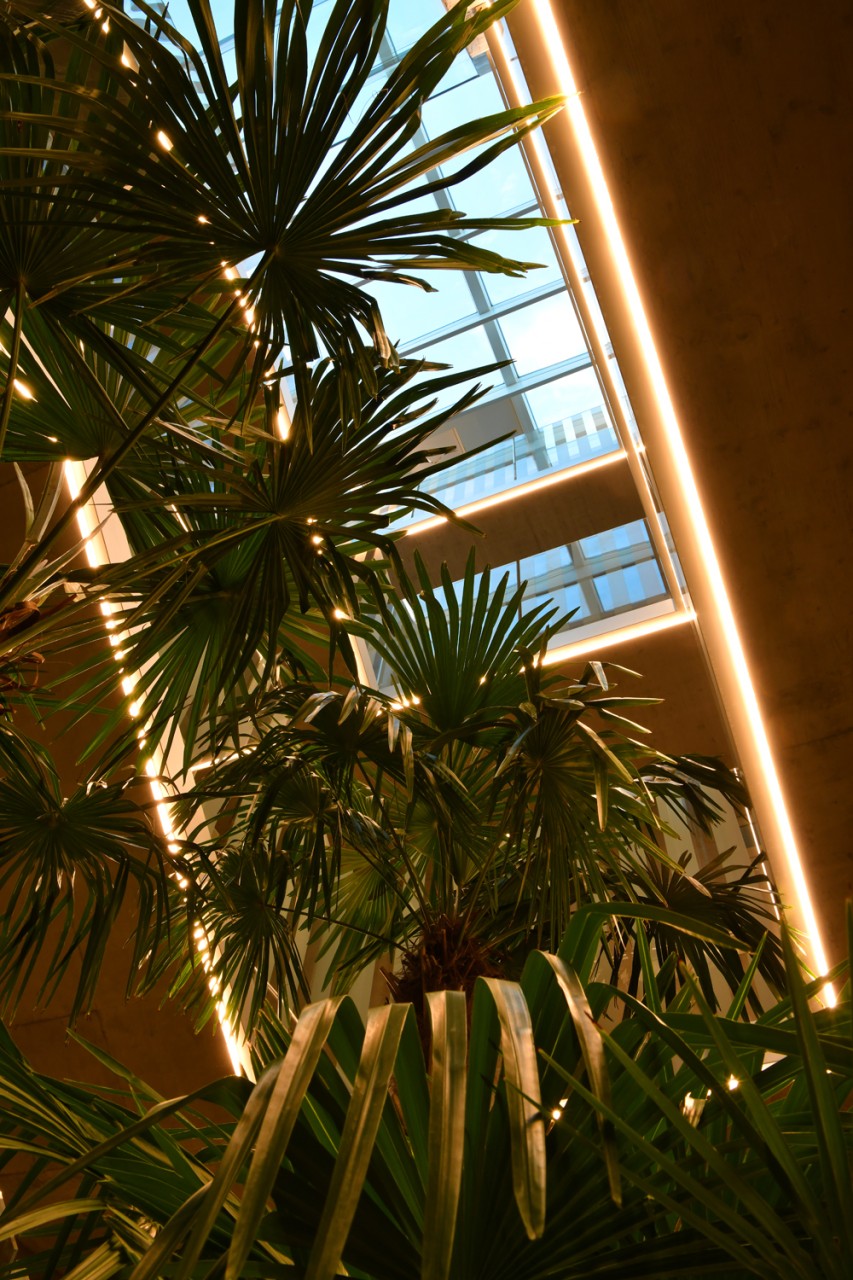 Bilder Atelier E SA