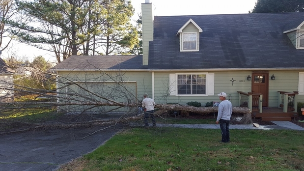 Images East TN Tree Service