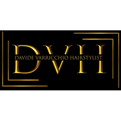 Parrucchiere Davide Varricchio Hairstylist Logo