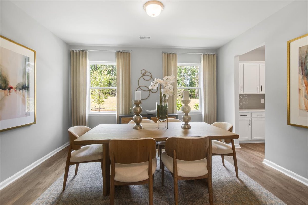 Bridgeport Single Family Homes by Stanley Martin Homes Image