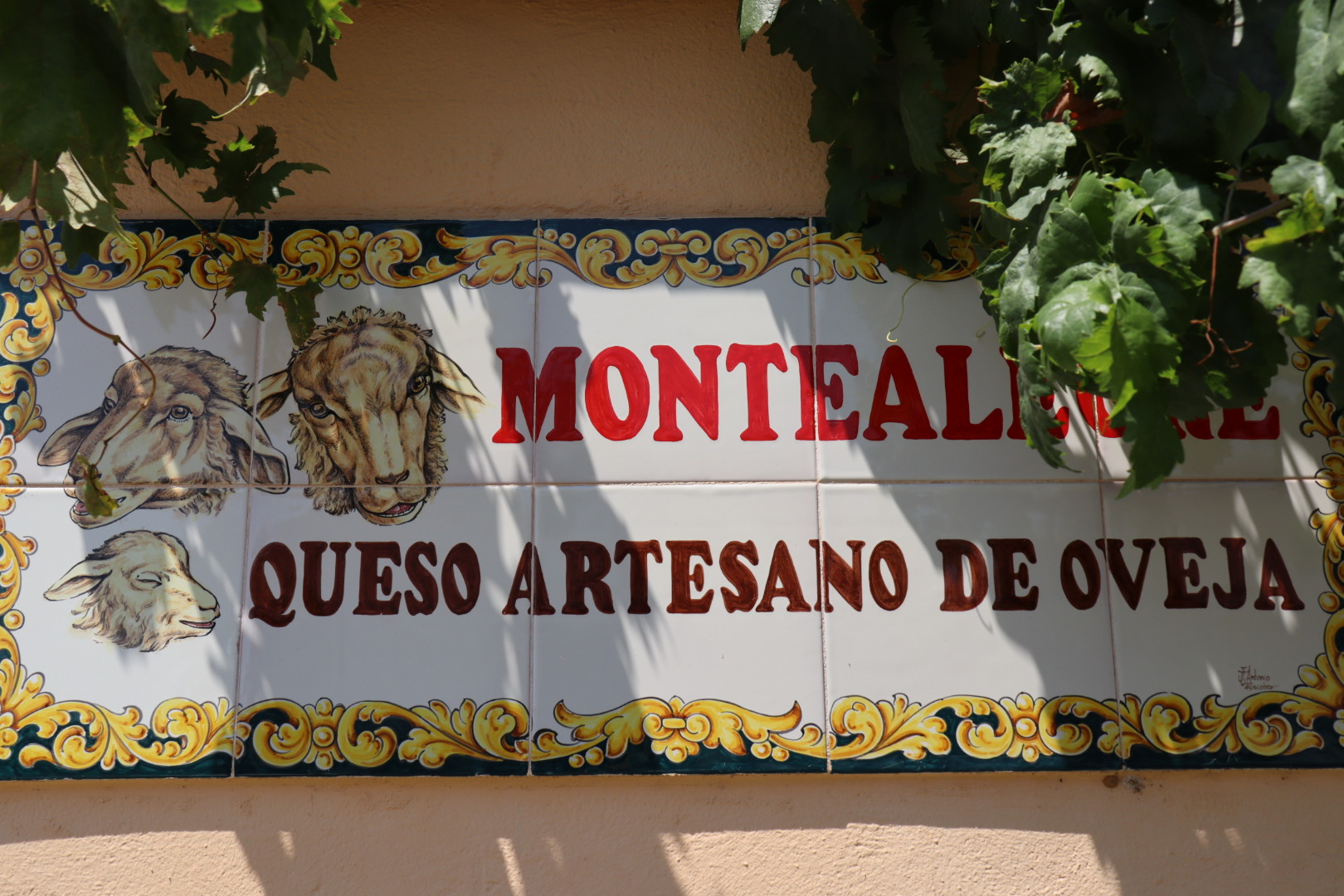 Images Quesos Montealegre