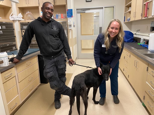 Images VCA West Los Angeles Animal Hospital