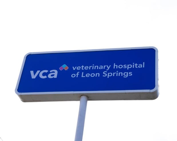 Images VCA Veterinary Hospital of Leon Springs