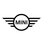 Flow MINI Winston Salem Logo