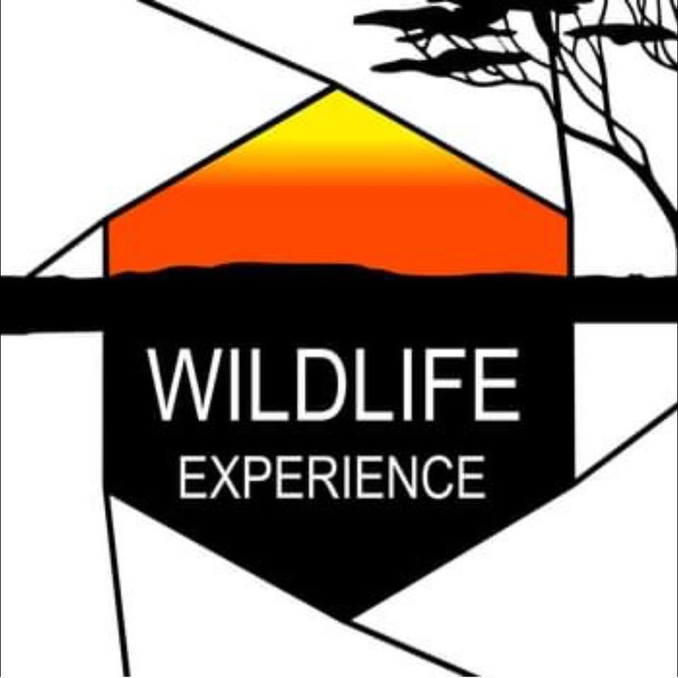 L'Œil Sauvage - Wildlife Experience Logo