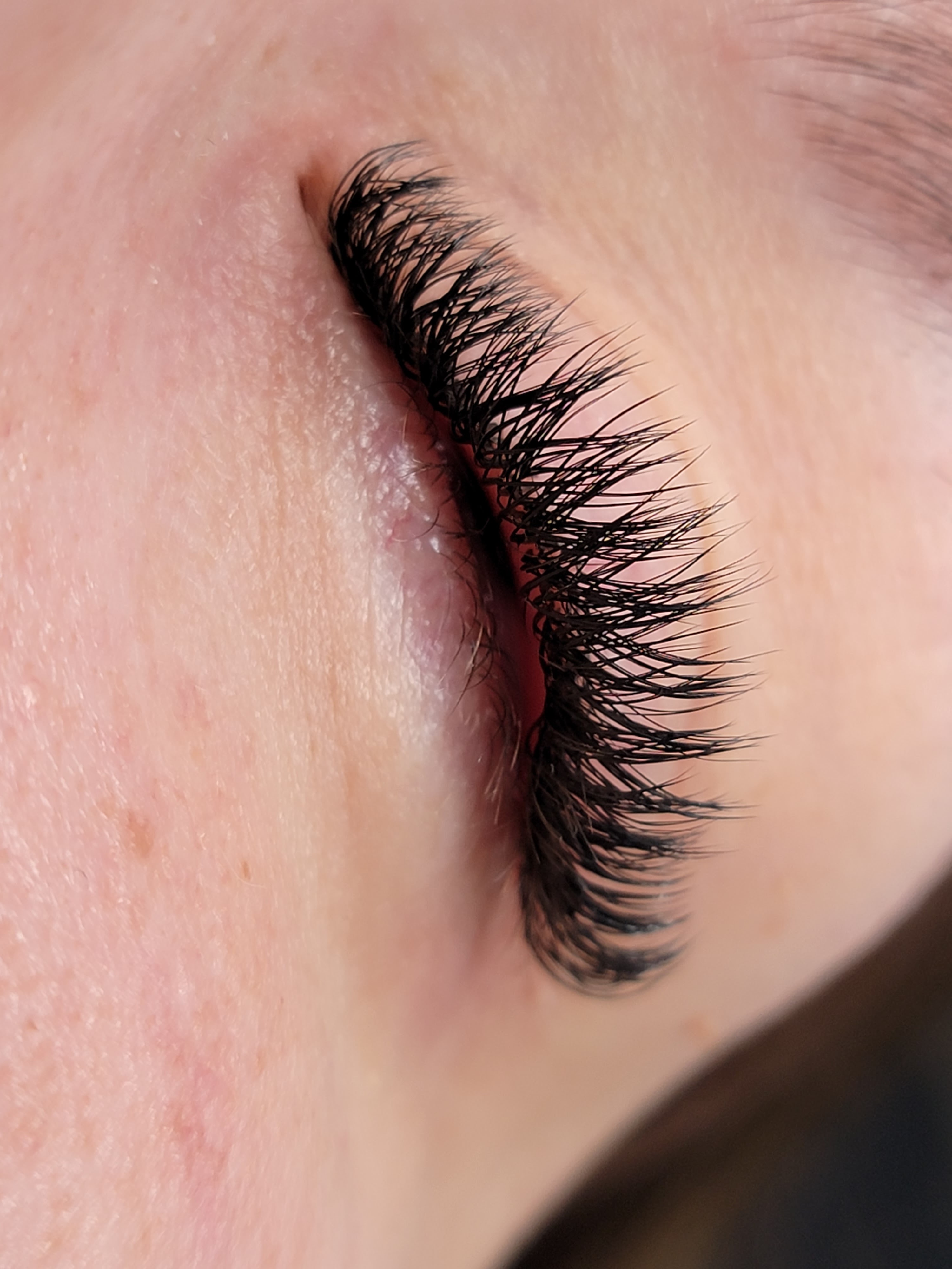 Images Lashista - Formation cils - Pose de cils - Produits de cils Longueuil