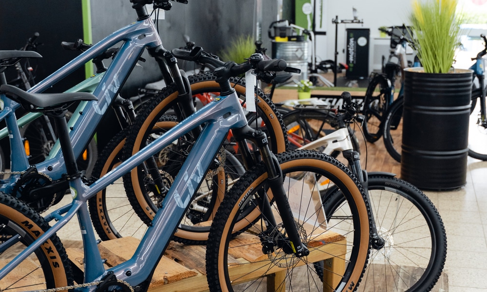 e-motion e-Bike Welt & Dreirad-Zentrum St. Wendel, Willi-Graf-Straße 8 in Sankt Wendel
