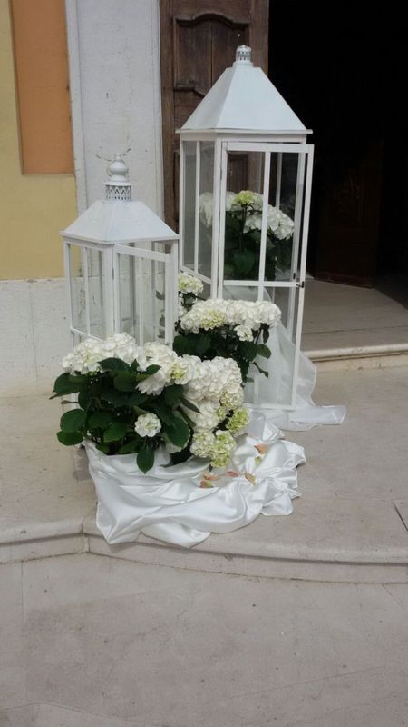 Images Giuliana Fiori