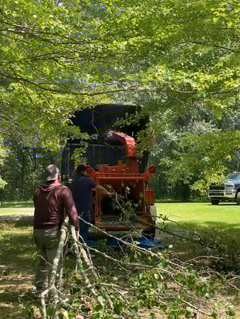 Images Z&M Tree Service TN