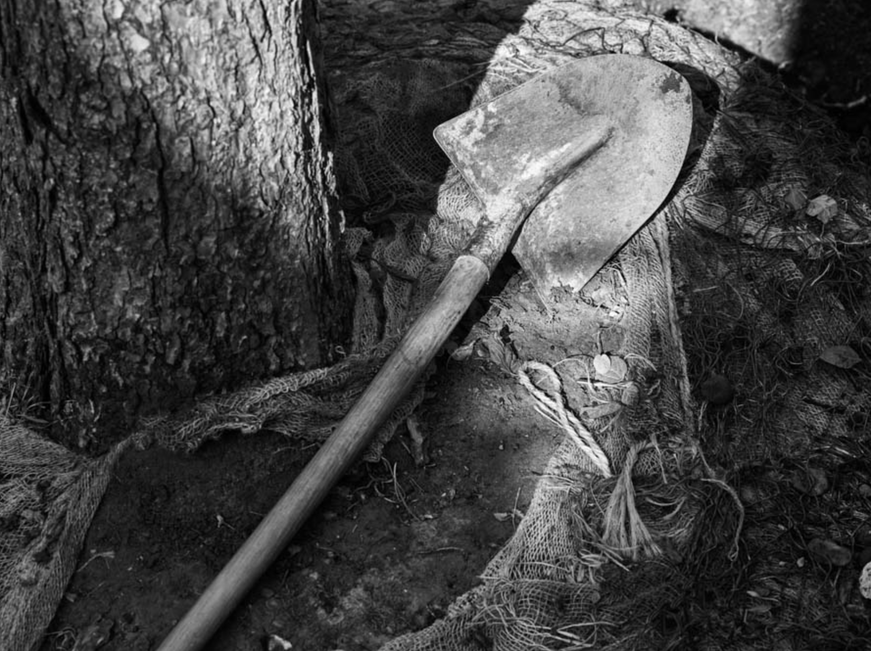 Select Garten GmbH, Im Chapf 11 in Erlenbach ZH