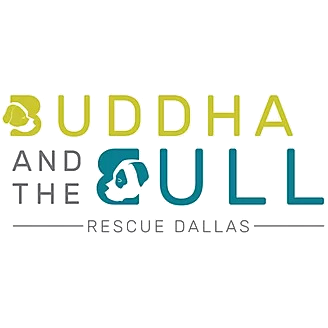 Buddha And The Bull Logo