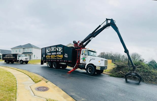 Images Keene Tree Service