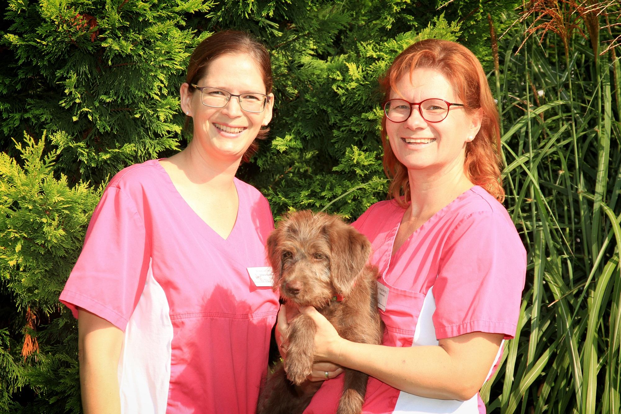 TGZ-Tiergesundheitszentrum GmbH Dr.med.vet. Birgit Dastig, Ragnitz 105 in Ragnitz