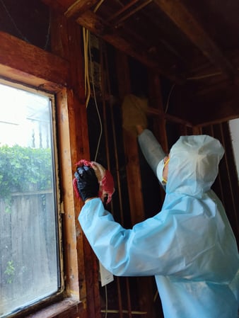 Images Clean Cure Restoration