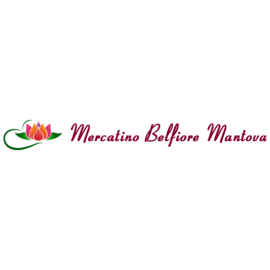 Mercatino Usato Accorsi Rosa Belfiore Logo
