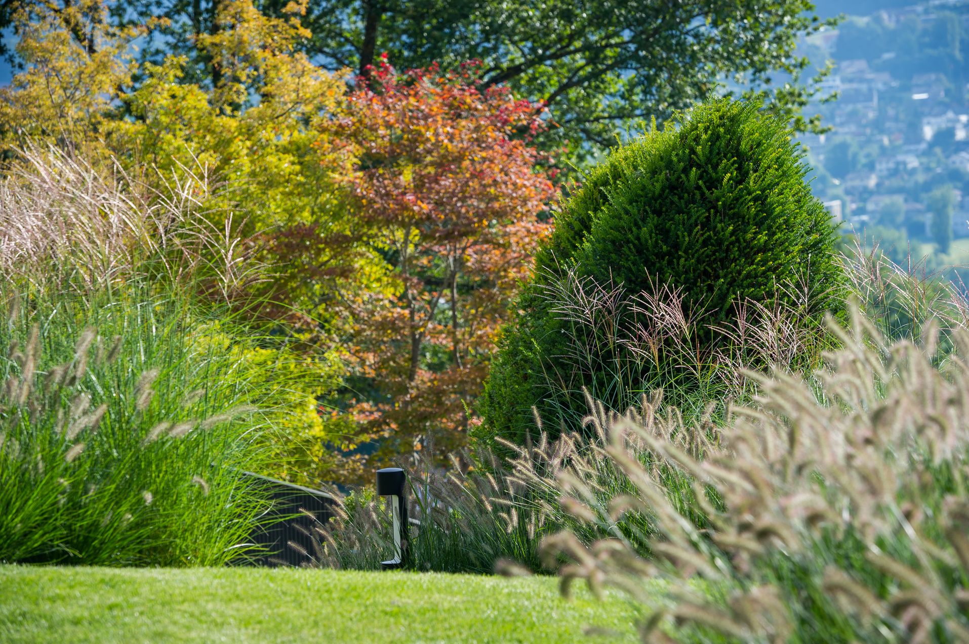 Bilder Besl Bischoff Gartenbau und Gartenpflege AG