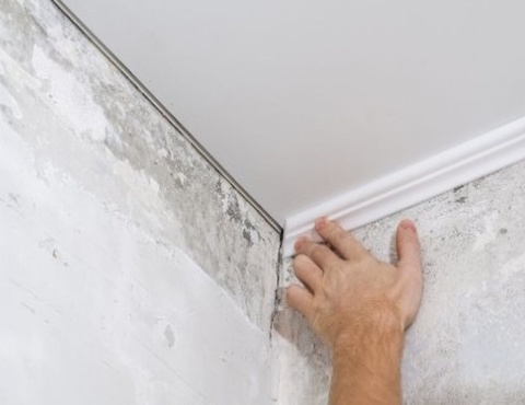 Plasterwork Damage repair