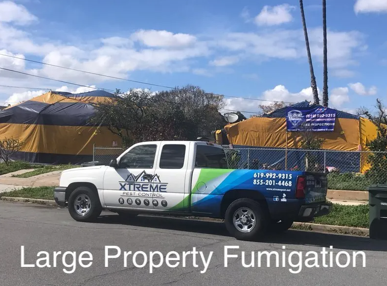 Images Xtreme Pest Control