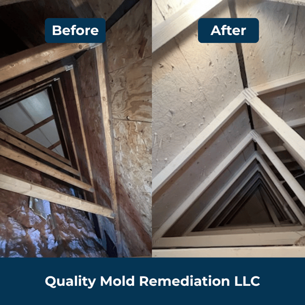 Images Quality Mold Remediation LLC