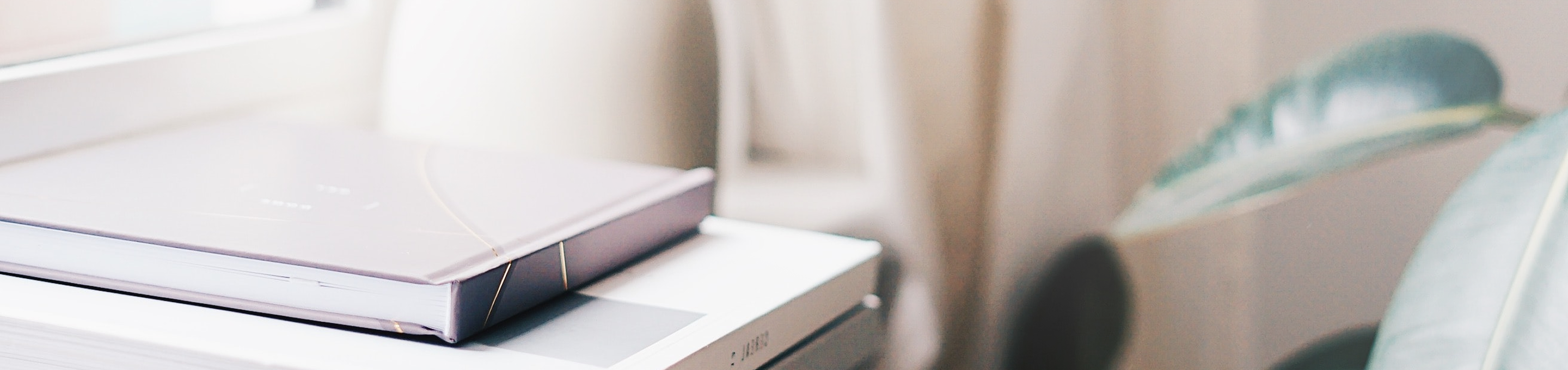 Stacked coffee table books next to a house plant.