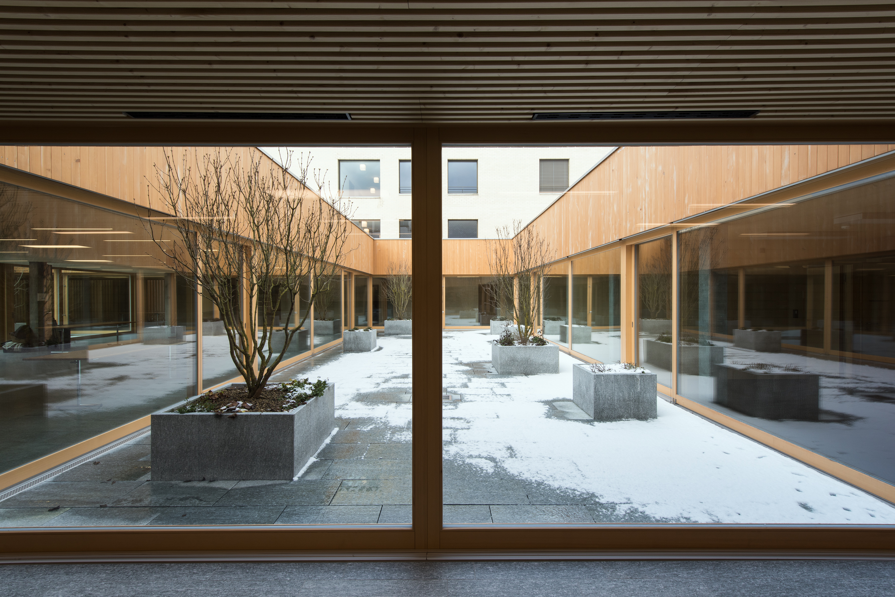 Bilder Burgerhaus AG - wood and natur