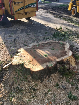 Images Wellman Tree Service