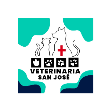 Clínica Veterinaria San José - Veterinarian - David - 787-0905 Panama | ShowMeLocal.com