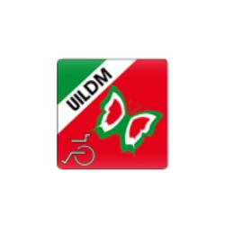 Uildm Unione Italiana Lotta alla Distrofia Muscolare Logo