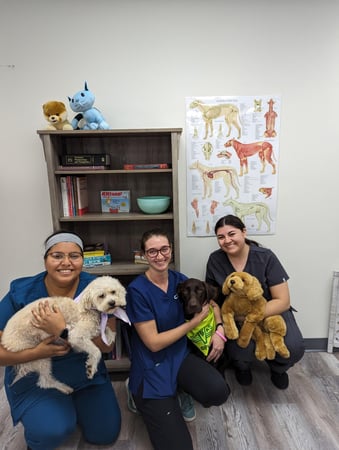 Images OC Veterinary Assistant School - Lake Forest, CA