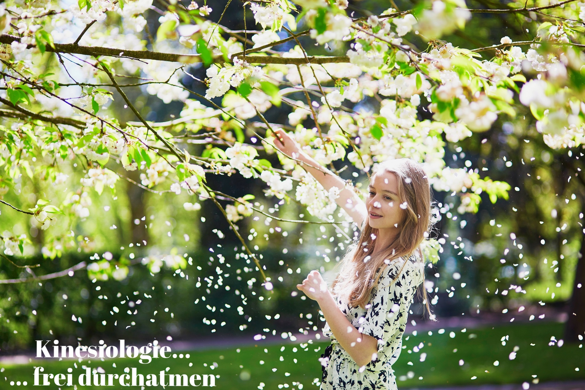 Bild 2 von Dipl. Kinesiologin Karin Rainer