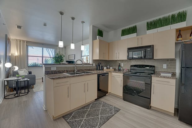 Images Vue Live Oak