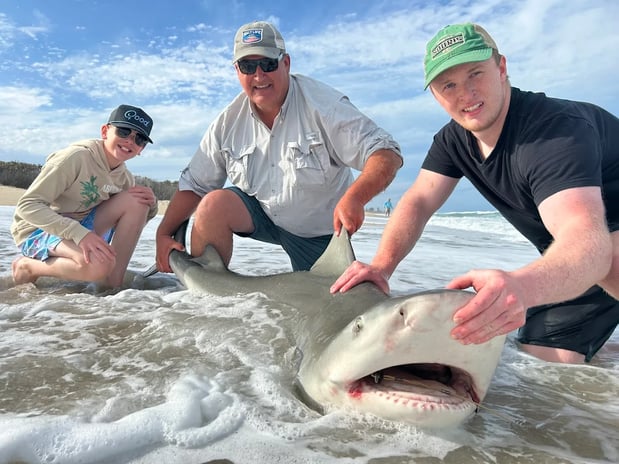 Images NSB Shark Hunters