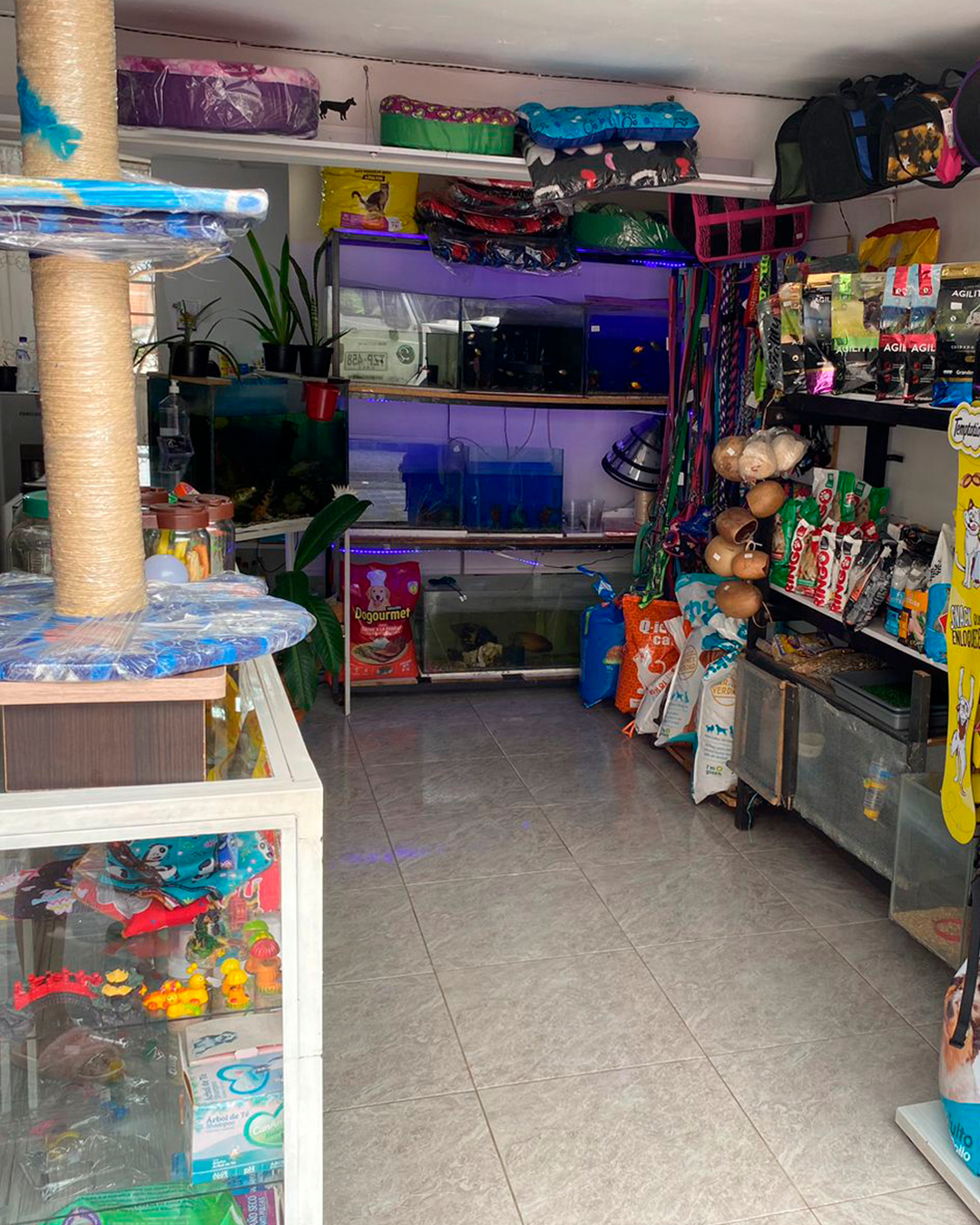 Galería en miniatura