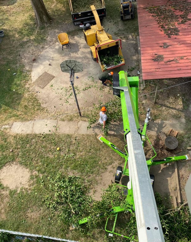 Images T & T Tree Service