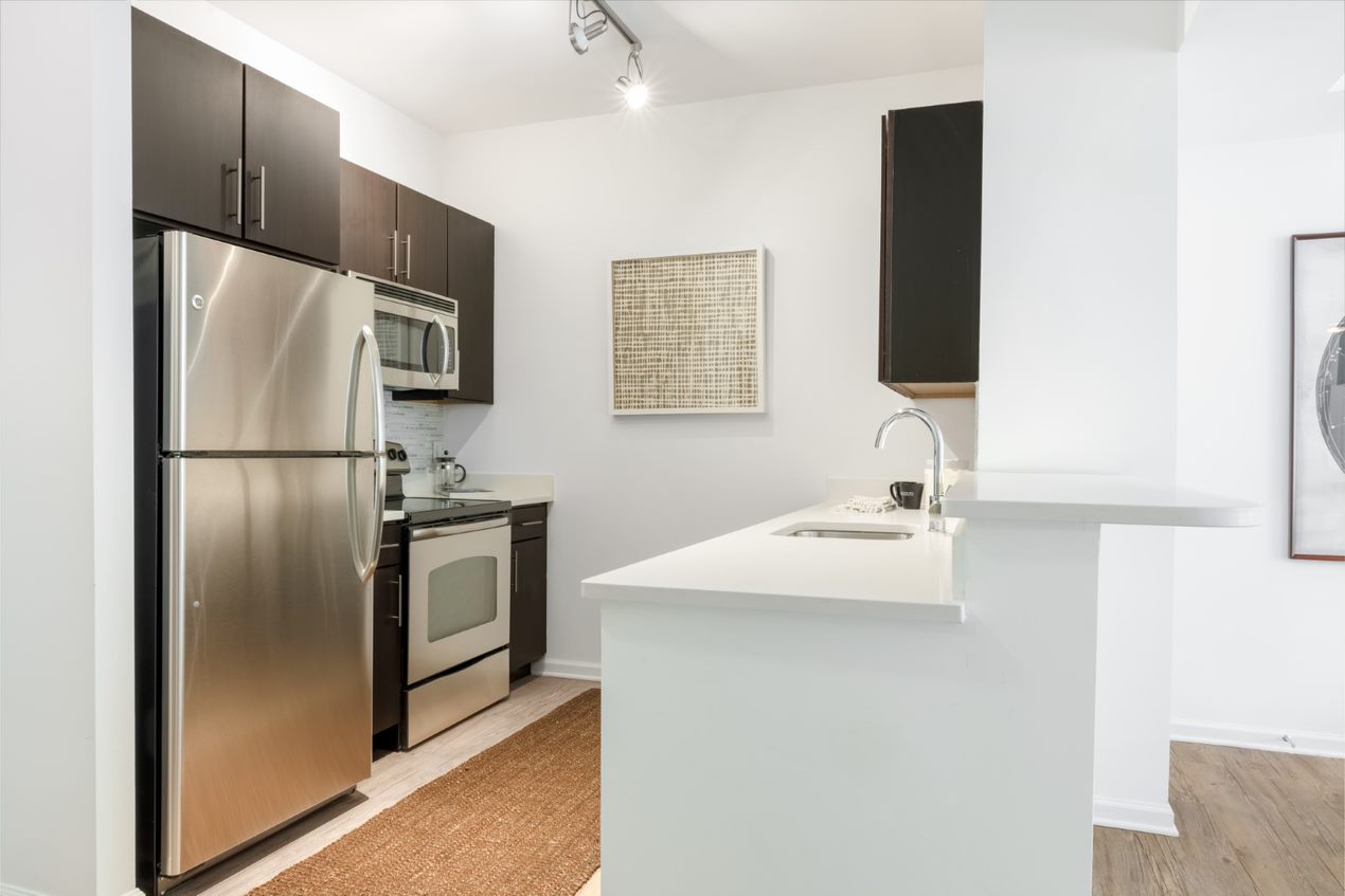 Contemporary kitchens with stainless steel appliances