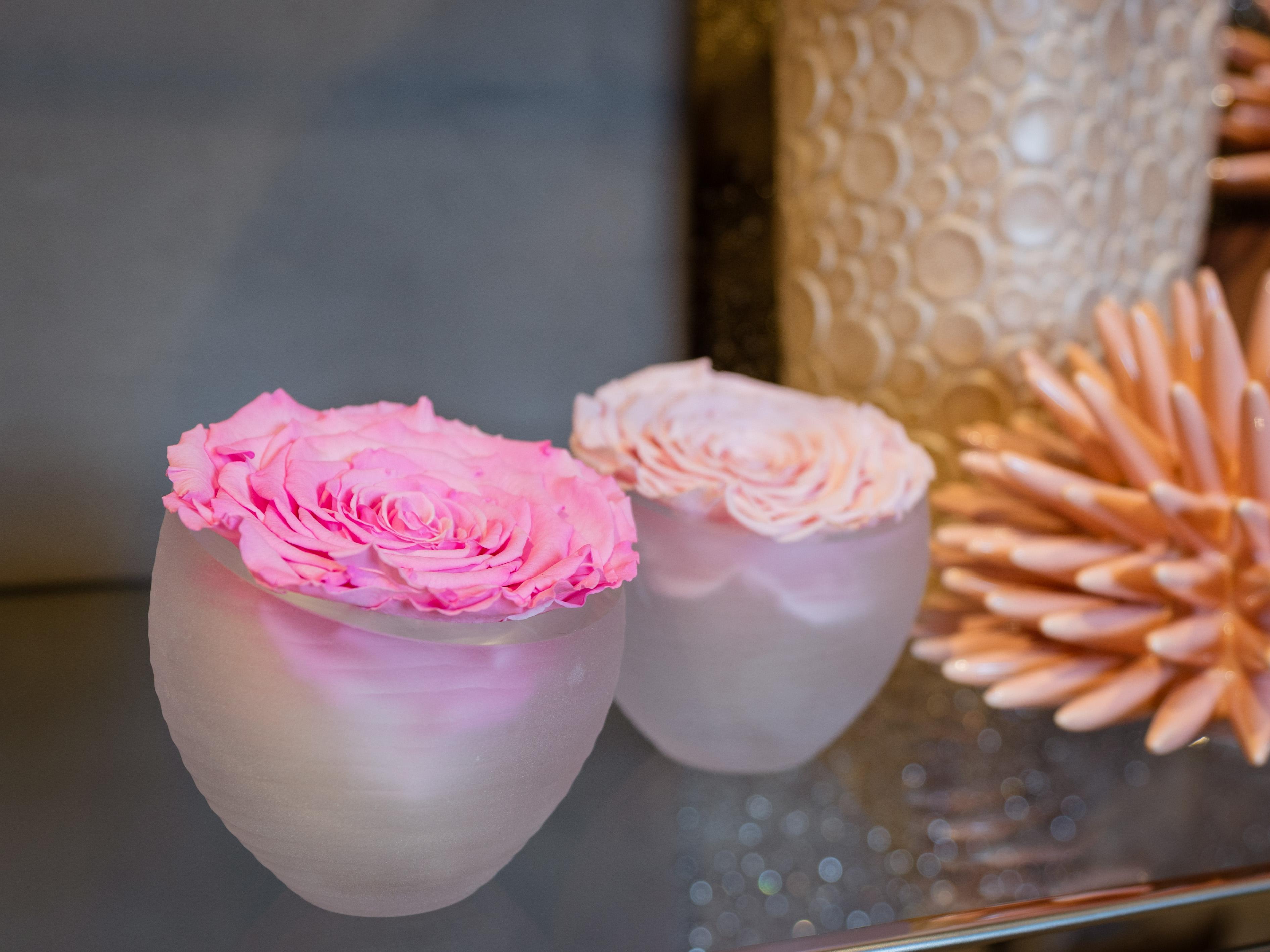 Infinite Rose Blanc