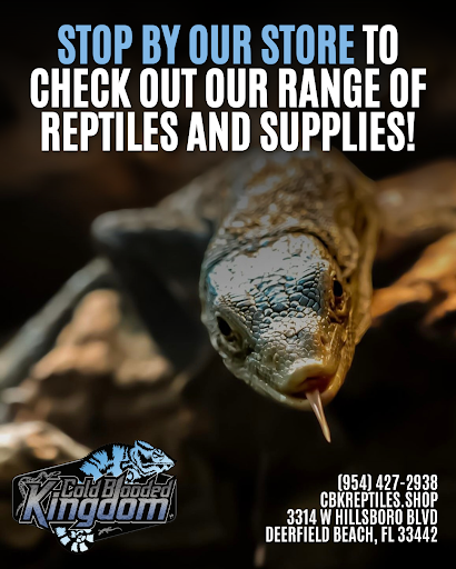 Images Cold Blooded Kingdom