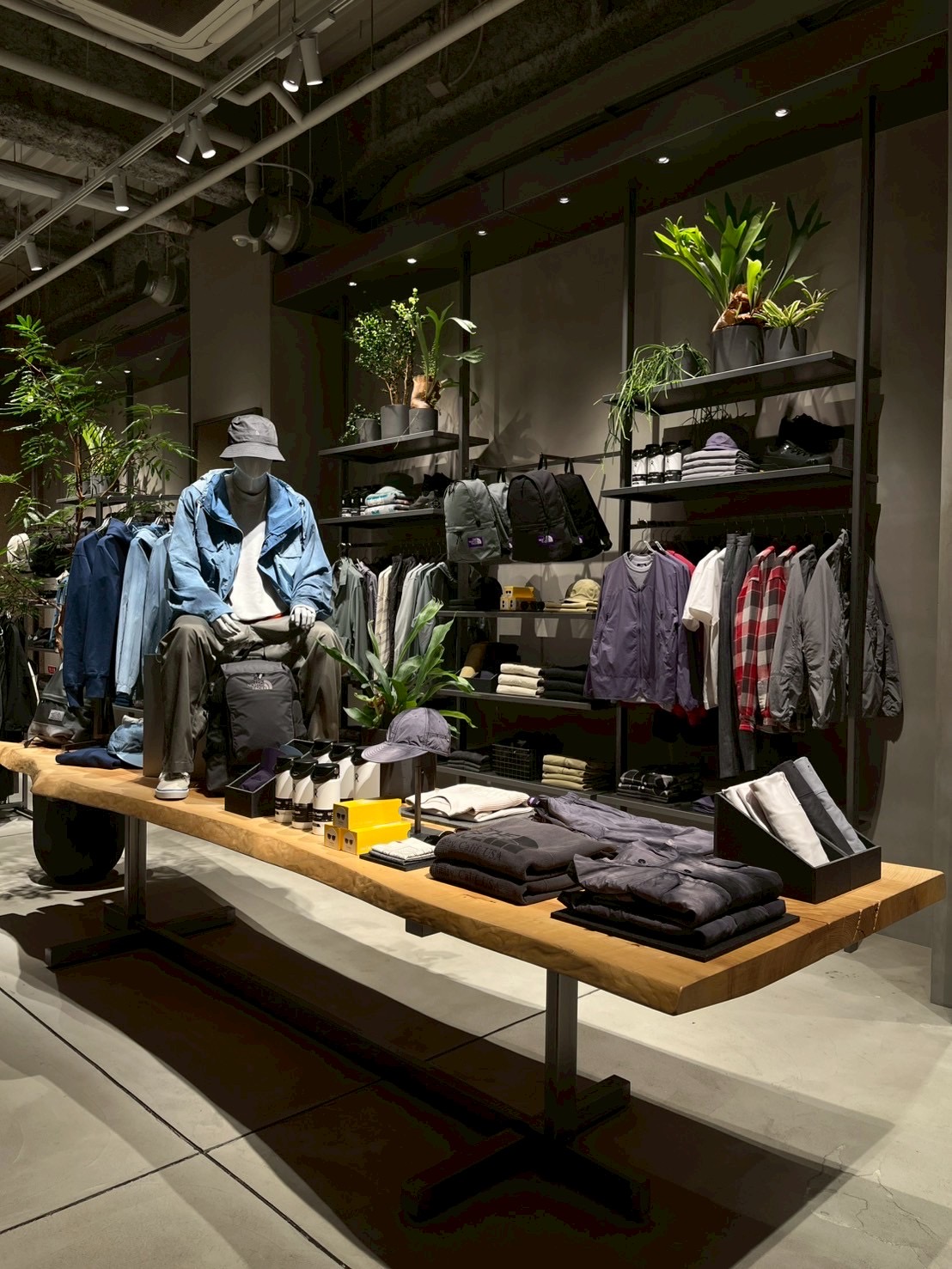 Gallery thumbnail