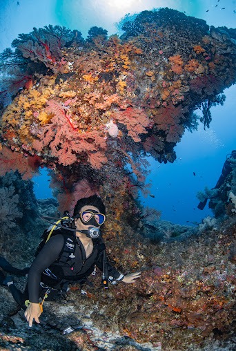 Images Dive Focus (ダイブフォーカス)沖縄