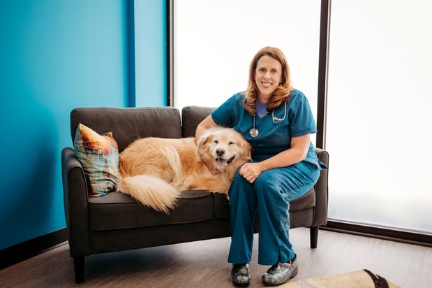 Images PetVet365 Pet Hospital Fishers Crossing