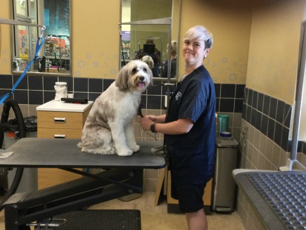 Images Petco