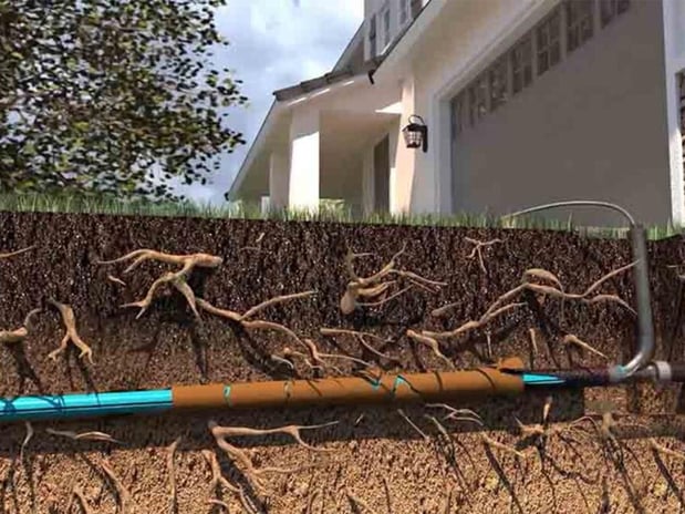 Images American Master Pipe