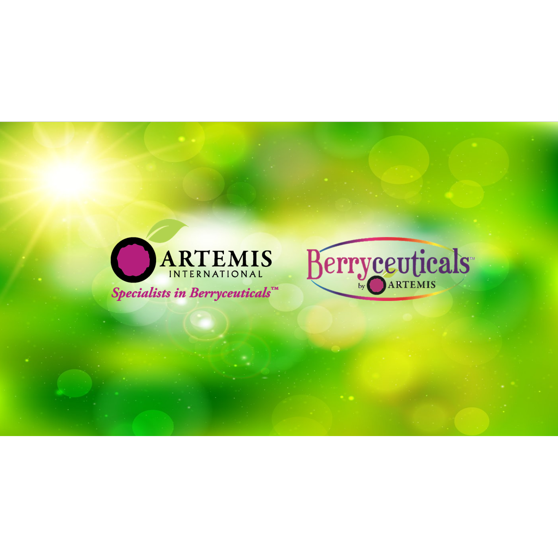 Artemis International Inc Logo