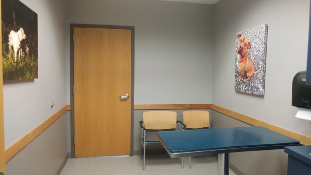 Images VCA Animal Care Hospital